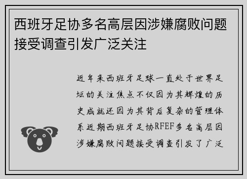 西班牙足协多名高层因涉嫌腐败问题接受调查引发广泛关注